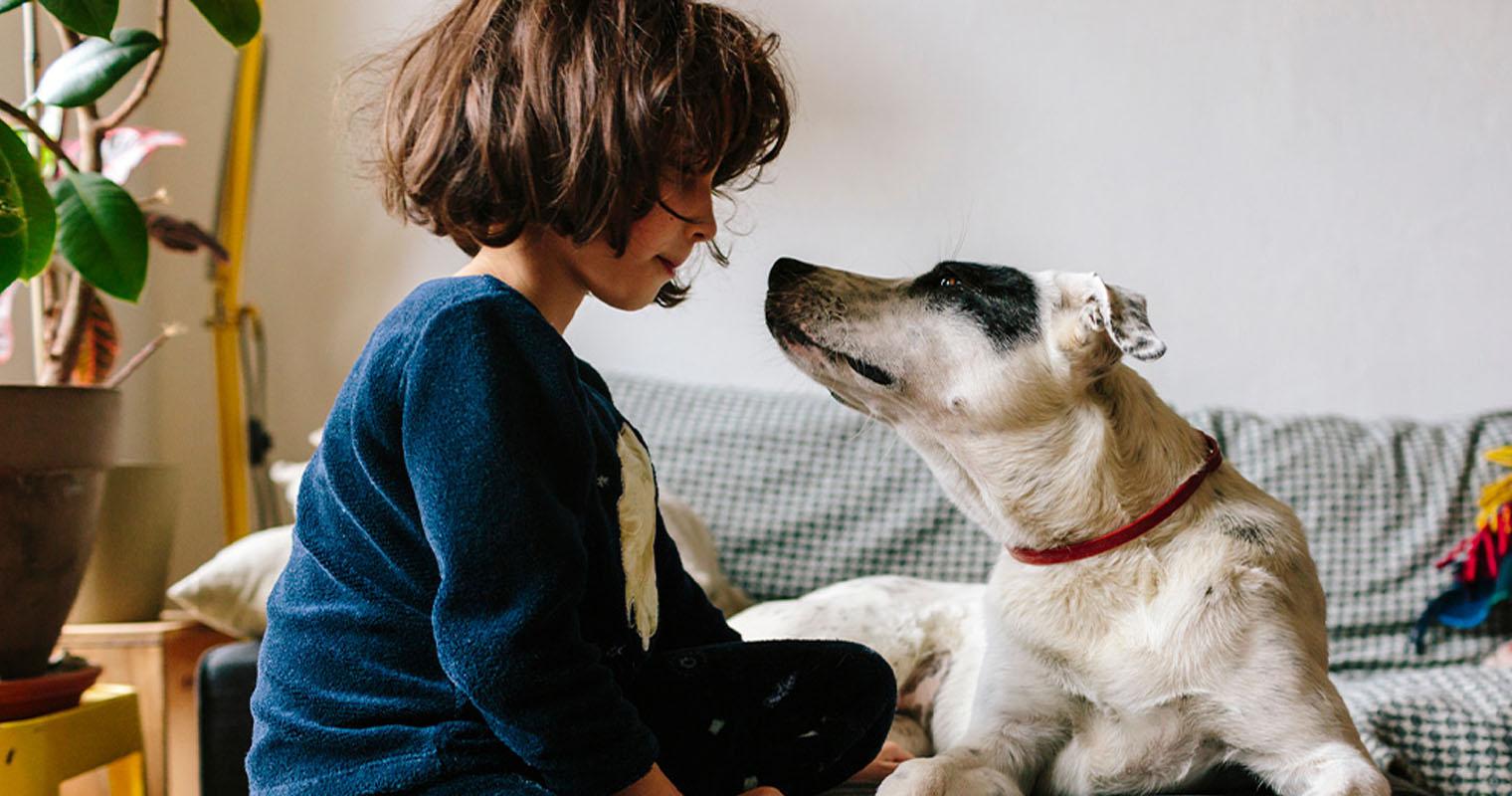 The Best Dog Breeds for Families with Kids