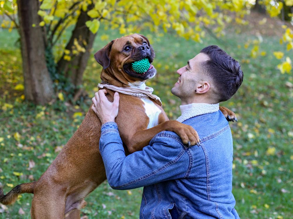 man with friendly boxer