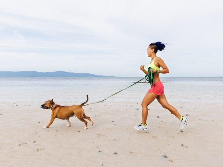 The Best Dogs for Runners