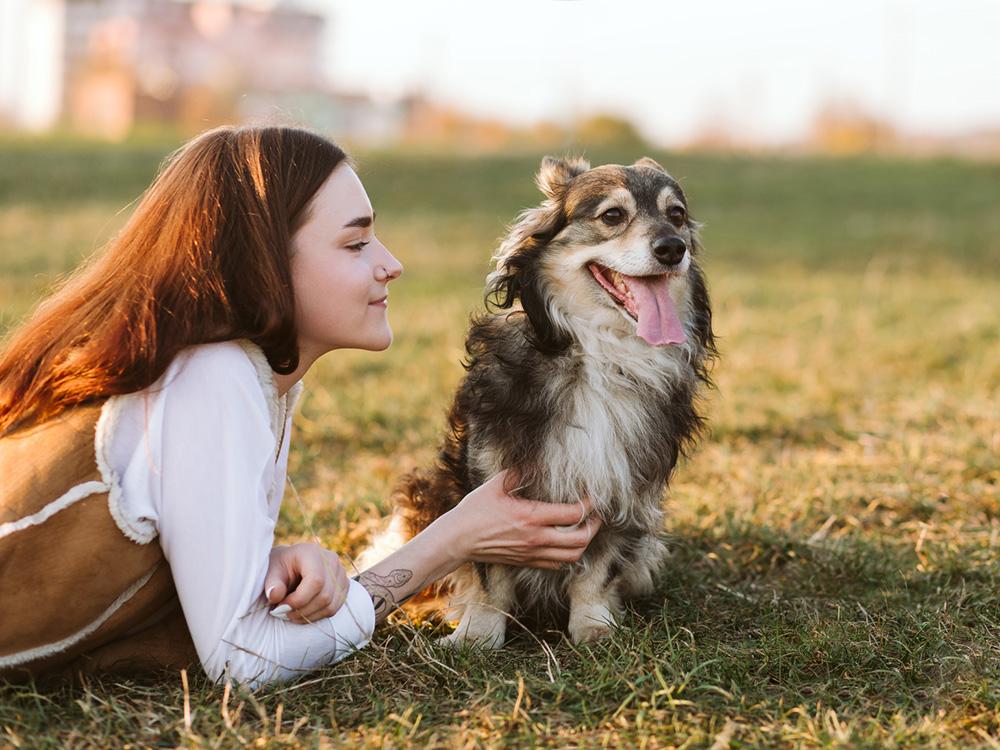 A Guide to Animal Shelter Terminology