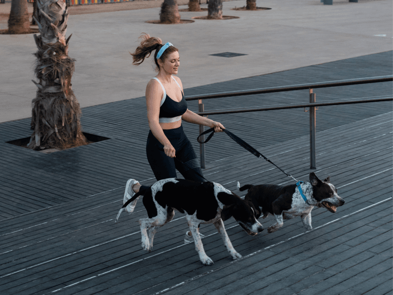 Mixed Breed Dogs running with person