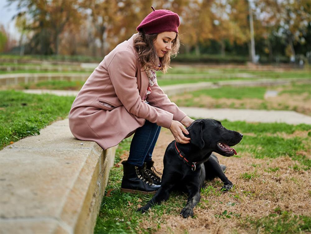 labrador and woman