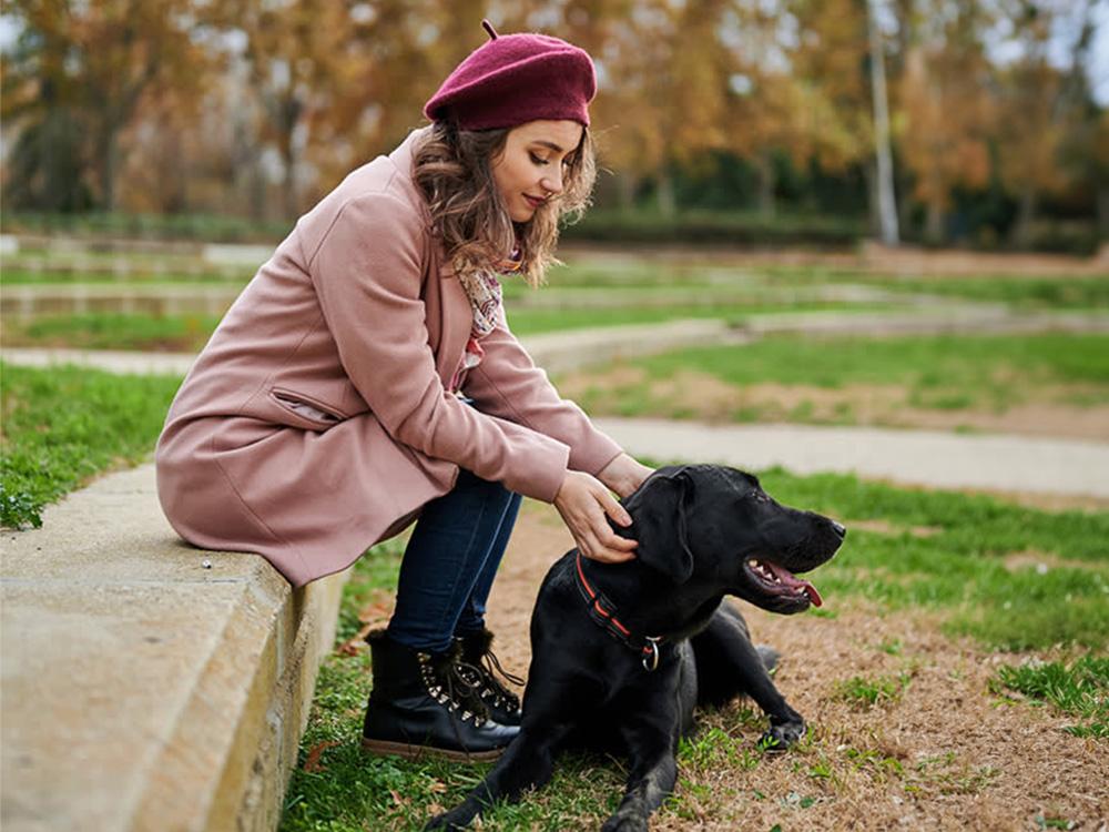 Labrador retriever and woman