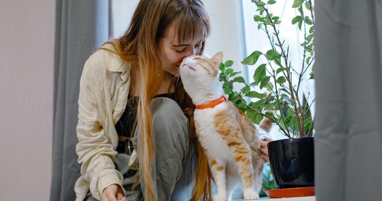 Cat Personality Types: Finding Your Perfect Match