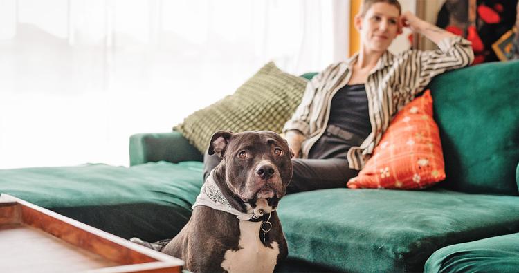 How to Find Pit-Bull Friendly Housing